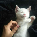 yanissblog-blog avatar