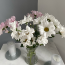 yannnnooooxoxox-blog avatar