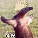 yaoi-no-akuma avatar