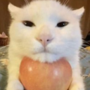 yaoidaughteryurison avatar