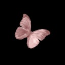 yarimkalmissigaragibi avatar