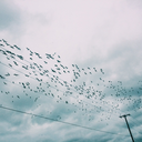 yasamakkadarzor avatar