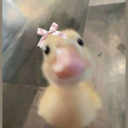 yassiyoruzgelisine avatar