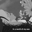 yazminbraginski avatar