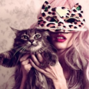 yeahilovecats avatar