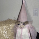 yeahiveheardofbears-fics avatar