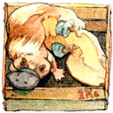 yeahmeaninglessstuff avatar