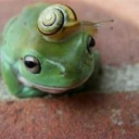 yeahyeah-singing-challenge avatar