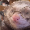 yeet-mc-yeeterson avatar