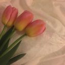 yehetingaroundexoplanet avatar