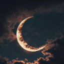 yellow-g0ache avatar