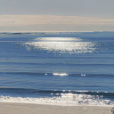 yellow-in-the-spring-air avatar