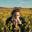 yellow-wildflowers avatar