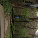 yellowcanread avatar