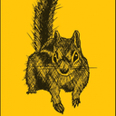 yellowchipmunk avatar