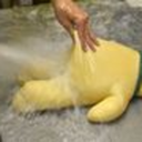 yellowfrumpydog avatar