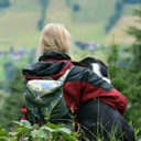 yellowstones-sweet-as-honey avatar