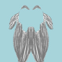 yen-sids-tournament avatar