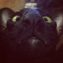 yes-besik-universe-blog avatar