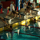 yes-im-a-swimmer avatar