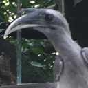 yes-you-am-are-you avatar