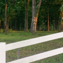 yesboopityboop avatar