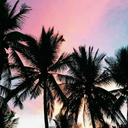 yesmywonderfulworld avatar