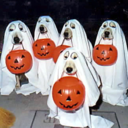 yesnomaybebeats avatar