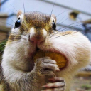 yesplease4all avatar