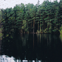 yesterdaysfuture avatar