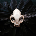 yggdrasil-now avatar