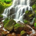 ygrittekissedbyfire avatar