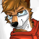 yiffwolfr avatar