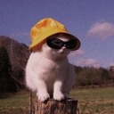 yildizlardegsinyuzune avatar