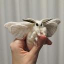 yoinkysploinkiest avatar