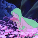 yonahimawarichan avatar