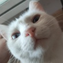 yorgunbirdilce avatar