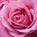 you-are-not-a-map avatar