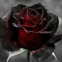 you-count-too avatar