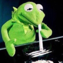 you-cute-little-shit avatar