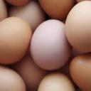 you-have-strange-power-over-eggs avatar