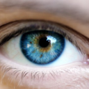 you-know-its-over-now avatar