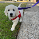 you-looking-good-hun avatar