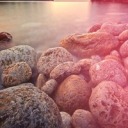 you-will-rebel-to-any-thing avatar