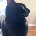 youarewhatyoulove27 avatar