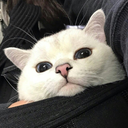 youcansmiletoo avatar