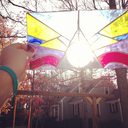 youfoundawhistle avatar