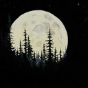 yougotno-jams avatar