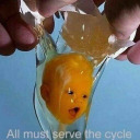 young-metronome avatar