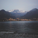 youngbluepenguin avatar